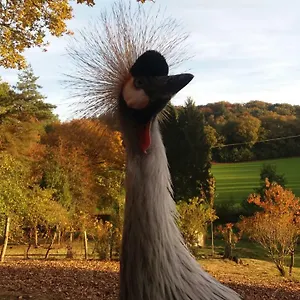 https://angelina-et-ses-animaux.inbrittany.com
